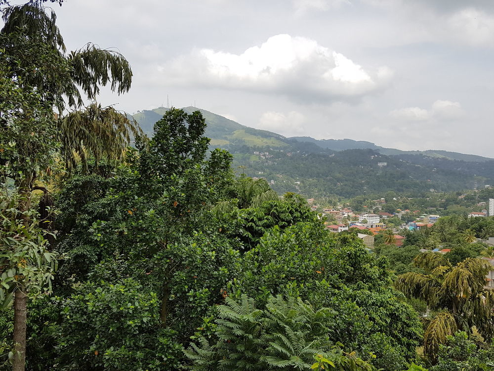 Villa 107 Kandy Eksteriør billede